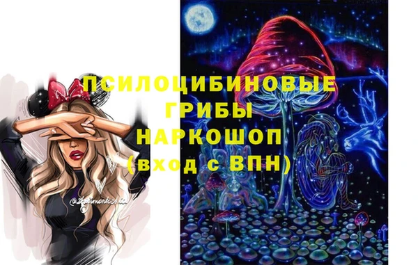 ГАЛЛЮЦИНОГЕННЫЕ ГРИБЫ Абинск