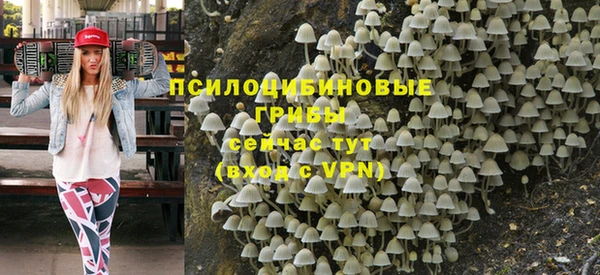 марихуана Абаза