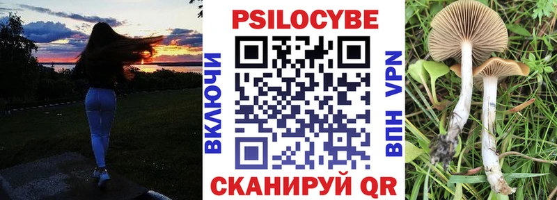 Галлюциногенные грибы Magic Shrooms  kraken ссылки  Кяхта 